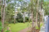 156 Buffalo Road, Ryde, NSW 2112-Image