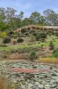 156 Eudlo School Road, Eudlo, Qld 4554-Image