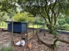 156 Repentance Creek Road, Goonengerry, NSW 2482-Image