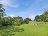 156 Repentance Creek Road, Goonengerry, NSW 2482-Image