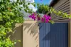 157 Banks Street, Alderley, Qld 4051-Image