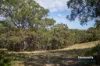 157 Moores Road, Norton Summit, SA 5136-Image