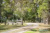 157 Moores Road, Norton Summit, SA 5136-Image