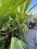 157 Truro Street, Urangan, Qld 4655-Image