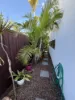 157 Truro Street, Urangan, Qld 4655-Image