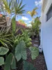 157 Truro Street, Urangan, Qld 4655-Image