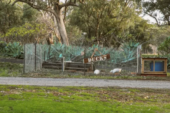 1575 Mandurah Road, Baldivis, WA 6171-Image