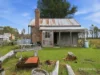 158 Forest Road, Rhyndaston, Tas 7120-Image