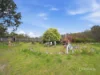 158 Forest Road, Rhyndaston, Tas 7120-Image