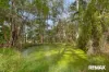 158 Thrushs Road, Dulong, Qld 4560-Image
