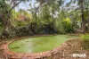 158 Thrushs Road, Dulong, Qld 4560-Image