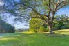 159 Barsons Road, Montville, Qld 4560-Image