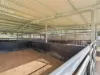 159 Eaton Lane, Stony Creek, Qld 4514-Image