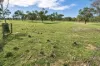 159 Manmanning Road, Wongan Hills, WA 6603-Image