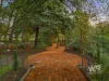 1596 Millbrook Rd, King River, WA 6330-Image