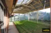 15A Heron Walk, Mawson Lakes, SA 5095-Image