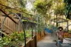 15A Yarawa Street, Kenmore, Qld 4069-Image