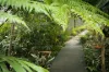 15A Yarawa Street, Kenmore, Qld 4069-Image