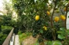 15A Yarawa Street, Kenmore, Qld 4069-Image