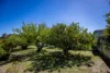 16 Alexander Avenue, Naracoorte, SA 5271-Image
