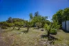 16 Alexander Avenue, Naracoorte, SA 5271-Image