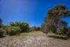 16 Alexander Avenue, Naracoorte, SA 5271-Image