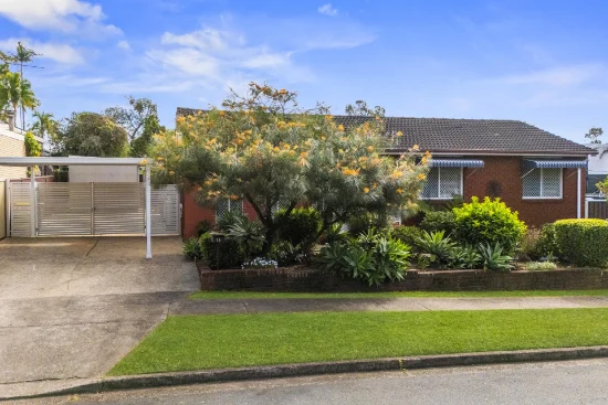 16 Alpha Road, Greystanes, NSW 2145