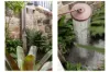 16 Arcadia Street, Coogee, NSW 2034-Image