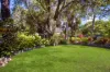 16 Arinya Street, Cranbrook, Qld 4814-Image