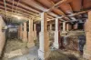 16 Austin Avenue, Campbelltown, NSW 2560-Image