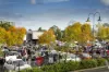 16 Avenue Road, Camberwell, Vic 3124-Image