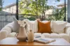 16 Barbola Street, Rouse Hill, NSW 2155-Image