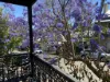 16 Bay Street, Birchgrove, NSW 2041-Image