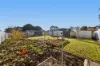 16 Bell Street, Glenthompson, Vic 3293-Image