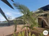 16 Bettong Bend, Baynton, WA 6714-Image