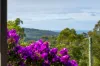 16 Beverley Street, Merimbula, NSW 2548-Image