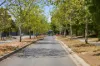16 Bollard Street, Palmerston, ACT 2913-Image