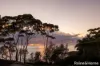 16 Booth Avenue, Narrawallee, NSW 2539-Image
