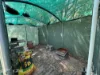 16 Buchanan Street, Pine Creek, NT 0847-Image