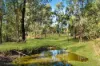 16 Bucknall Court, Regency Downs, Qld 4341-Image