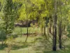 16 Bucknall Court, Regency Downs, Qld 4341-Image