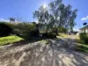 16 Cambewarra Road, Bomaderry, NSW 2541-Image