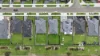 16 Camden Street, Lucknow, Vic 3875-Image