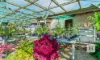 16 Campbell Street, Taree, NSW 2430-Image