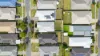 16 Carpenter Street, Yarrabilba, Qld 4207-Image