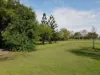 16 Chelona-Sandiford Rd, Chelona, Qld 4740-Image