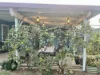 16 Cherry Street, Oakey, Qld 4401-Image