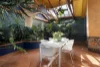 16 Clark Street, Richmond, Vic 3121-Image