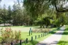 16 Clement Street, Swanbourne, WA 6010-Image