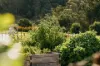 16 Collins Way, Tugrah, Tas 7310-Image